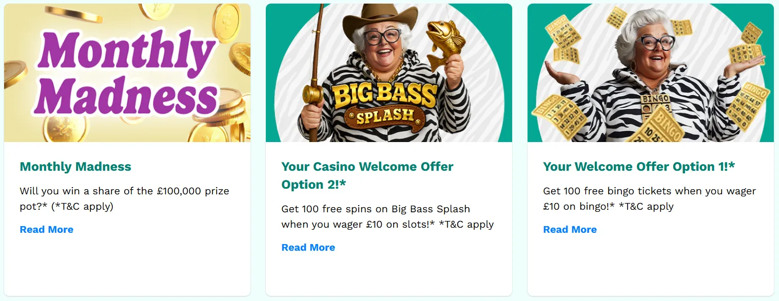 zebra-bingo-promo